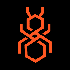 Orange Anthill Academy emblem on a black background.